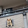 何よりも高収入を得られるように 様々な仕組み！のサムネイル