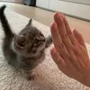 ゆるっと始めてめざせ高収入♡自由すぎるルーム型エステ♪のサムネイル