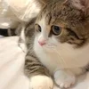 新規オープンにつき、セラピストさん大募集中です！ のサムネイル