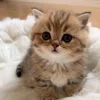あなたも稼げる人気セラピストに！不安なことはしっかりサポートのサムネイル