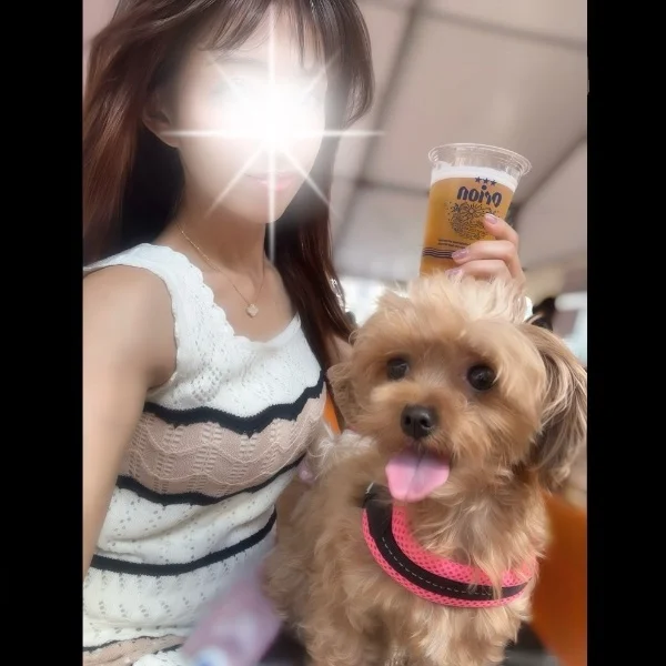 本日出勤💗19:00〜います🪄✨
