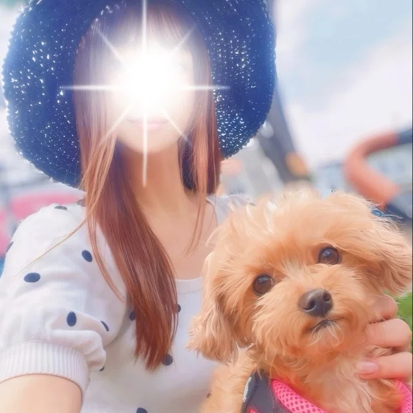 明日からいます💐