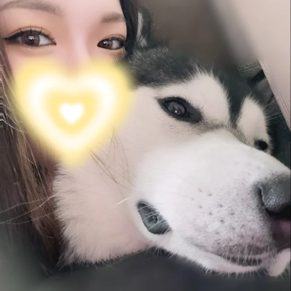明日19:00〜🗽