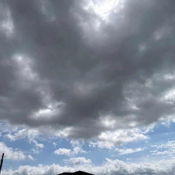 お散歩〜