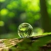 ストレスフリーで働いてみませんか❓✨のサムネイル