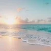 ✨環境に拘る貴女様へ・・・のサムネイル