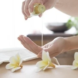 お店のコースその2