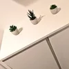 玄関から床まで、今日もぴかぴかです🌷のサムネイル