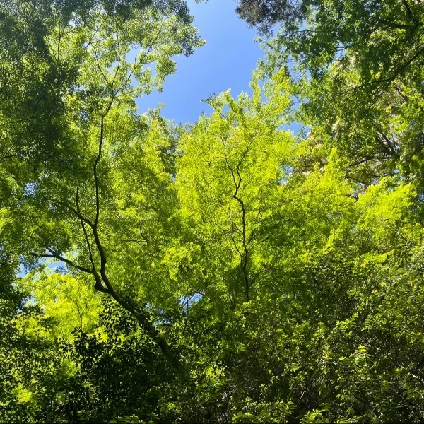 心の洗濯してきました🫧 1