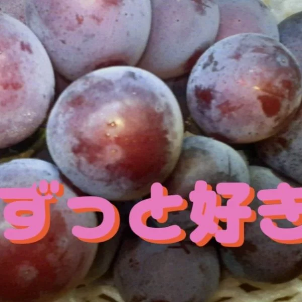 次週のスケジュール