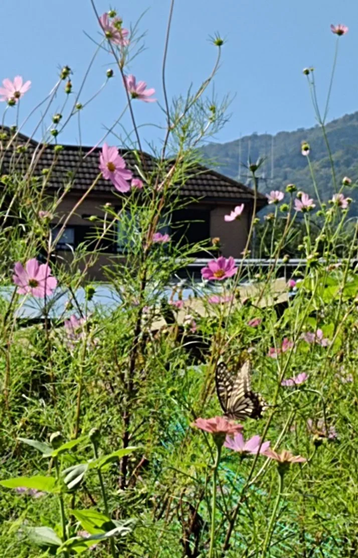 ちょっとひと休み🍀