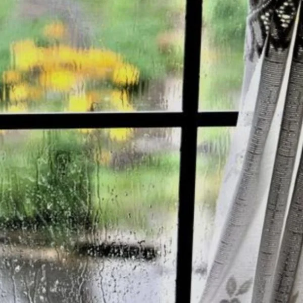 雨の日…☔
