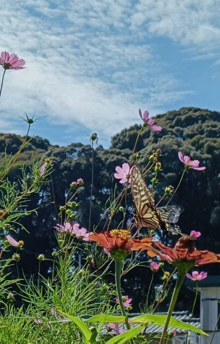 ちょっとひと休み🍀