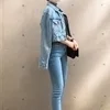 白河しほ