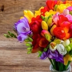 【お得なクーポン大放出💐.°♡】