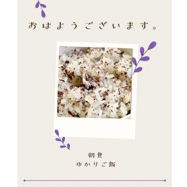 お早う御座います(*^^*)