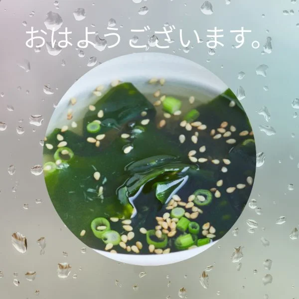 お早う御座います(*^^*)