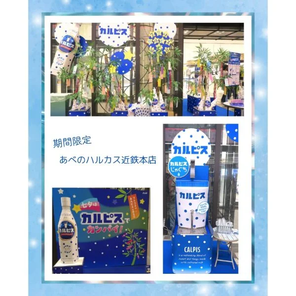 カルピス～✨