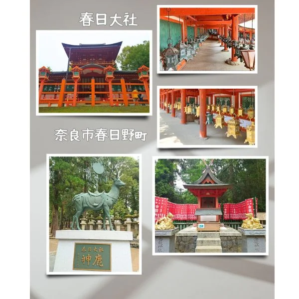 春日大社さま☆