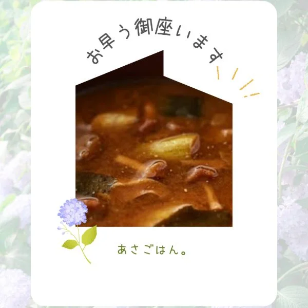 お早う御座います😊
