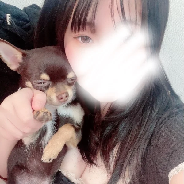 お花🌻