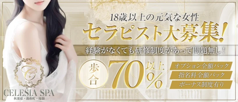 セレシアスパ　秋葉原店の求人募集イメージ2