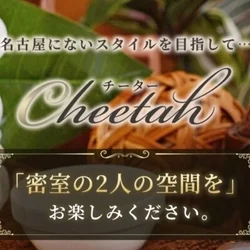 Cheetah〜チーター