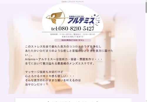 アルテミスの公式ホームページ