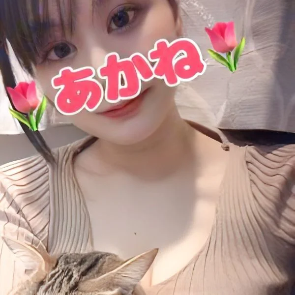 眠る前の寄り道、今日は許してあげてください 1