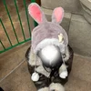 のん