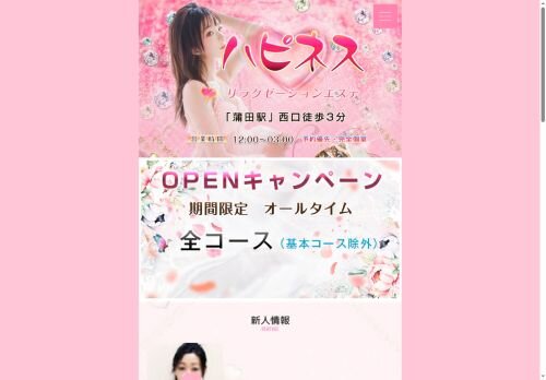 ハピネスの公式ホームページ