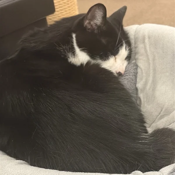 本日15:30から💖