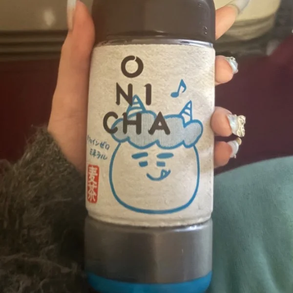 いるよ^._.^