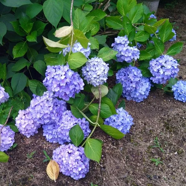 こんにちは☔