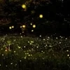神戸のサムネイル