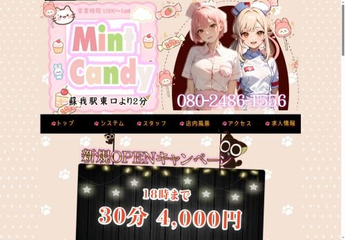Mint Candyの公式ホームページ