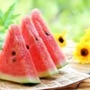 食べたっ!!!のサムネイル