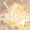 マリーゴールド