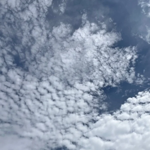 8月最終日🌸出勤です🫶