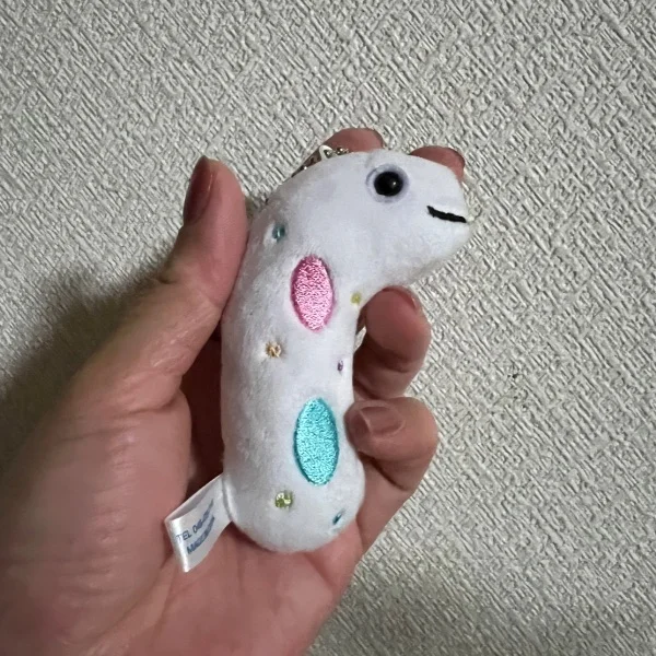 おはようございますっ🍀