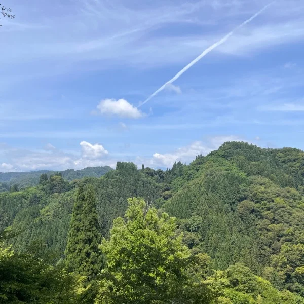 おはようございます🍀
