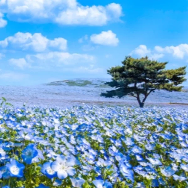 おはようございますっ☀️✨