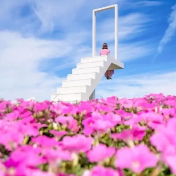 ありがとうございました♥️