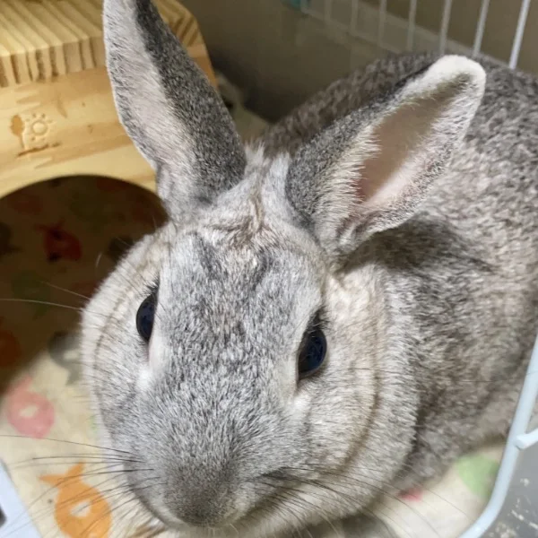 ありがとうございました♥️