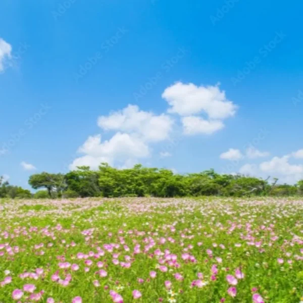 今日も元気に出勤です🙌✨