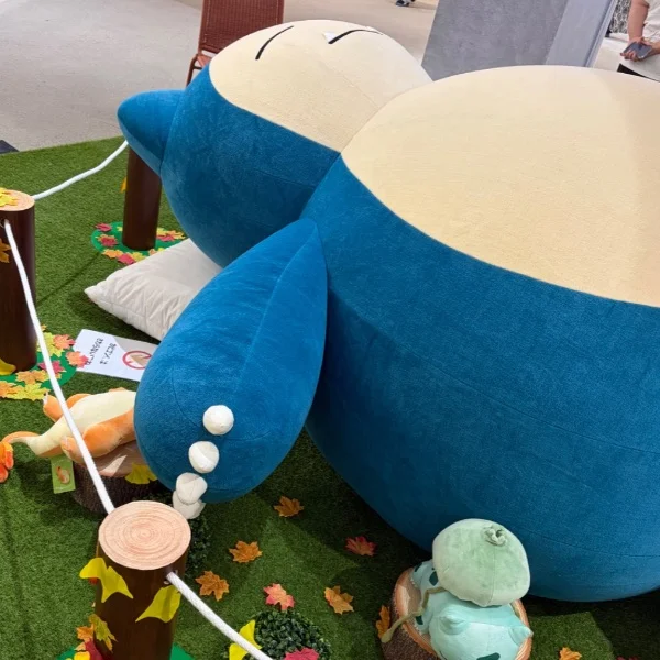 昨日も…✨