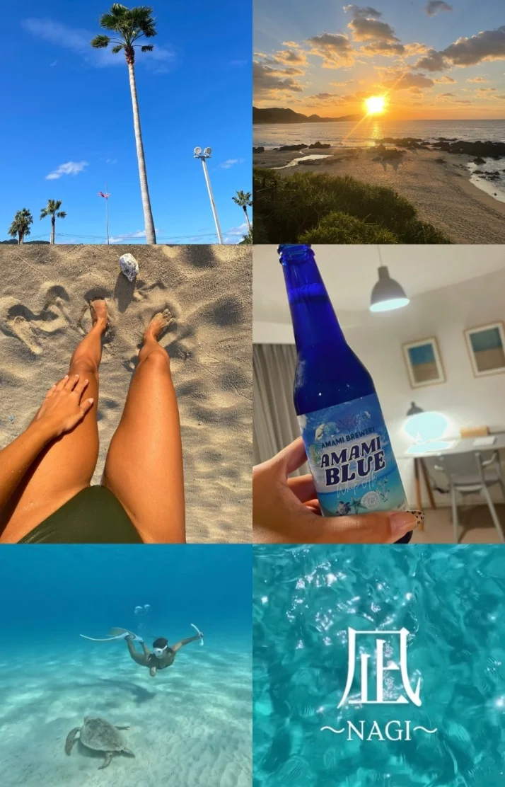 ＼🆕開拓海活👙📍奄美大島／