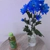 スタッフの対応が丁寧と皆さんに好評です☆のサムネイル