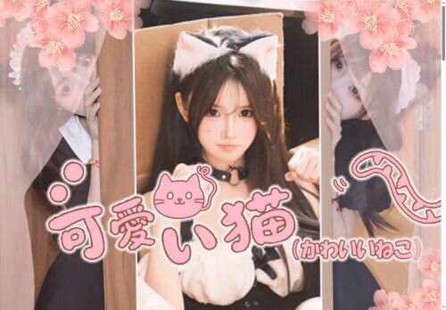 可愛い猫(かわいいねこ)の公式ホームページ