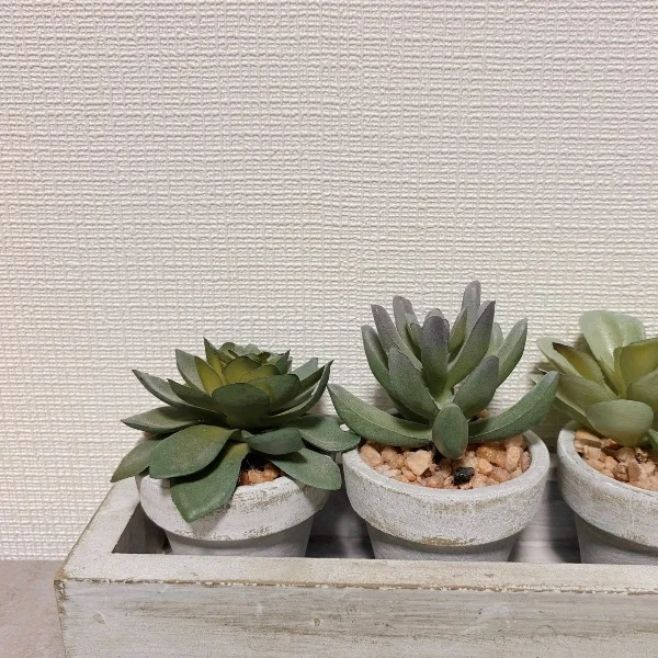 ⚫︎ 出勤してます！